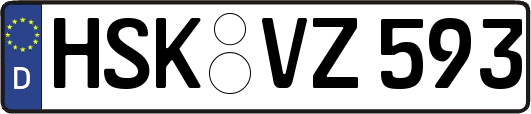 HSK-VZ593
