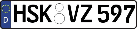 HSK-VZ597