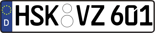 HSK-VZ601