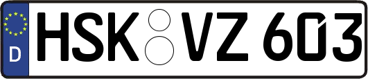 HSK-VZ603