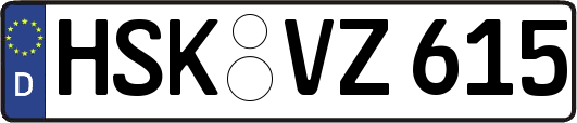 HSK-VZ615