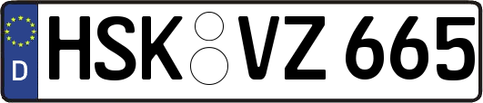 HSK-VZ665