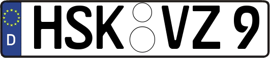 HSK-VZ9