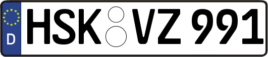 HSK-VZ991