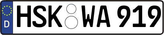HSK-WA919