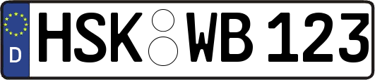 HSK-WB123