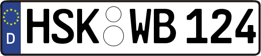 HSK-WB124