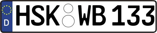 HSK-WB133