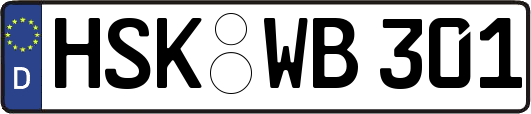 HSK-WB301