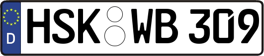 HSK-WB309
