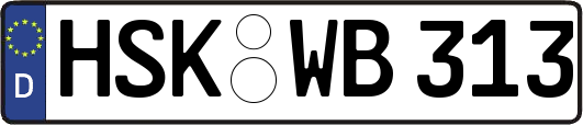 HSK-WB313