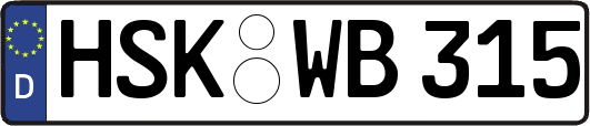 HSK-WB315