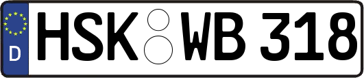 HSK-WB318