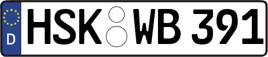 HSK-WB391