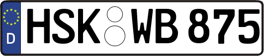 HSK-WB875