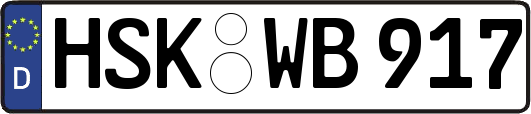 HSK-WB917