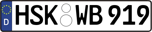 HSK-WB919