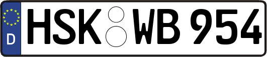 HSK-WB954