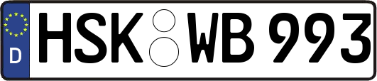 HSK-WB993