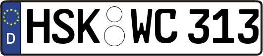 HSK-WC313