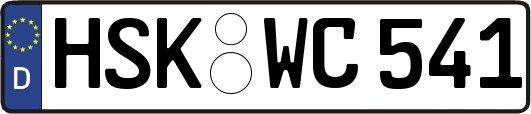 HSK-WC541