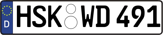 HSK-WD491