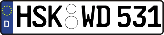 HSK-WD531