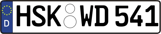 HSK-WD541