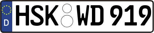 HSK-WD919