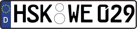 HSK-WE029