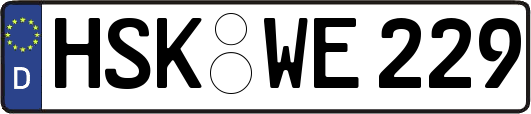 HSK-WE229
