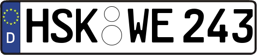 HSK-WE243