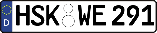 HSK-WE291