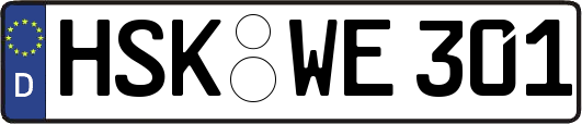 HSK-WE301