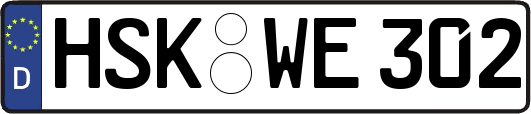 HSK-WE302