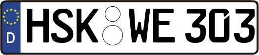 HSK-WE303