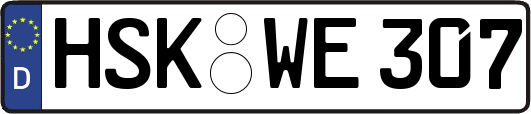 HSK-WE307
