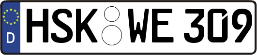 HSK-WE309