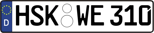 HSK-WE310