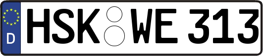 HSK-WE313