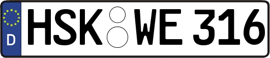 HSK-WE316