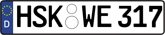HSK-WE317