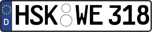 HSK-WE318
