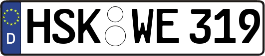 HSK-WE319