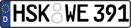 HSK-WE391