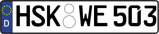 HSK-WE503