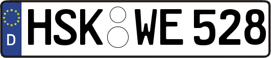 HSK-WE528