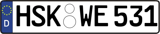 HSK-WE531
