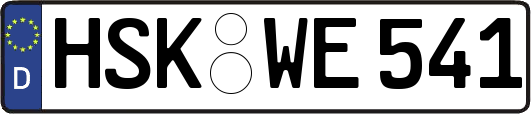 HSK-WE541