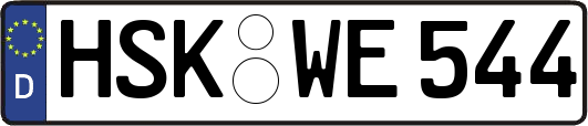HSK-WE544